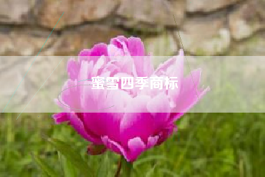 蜜雪四季商标