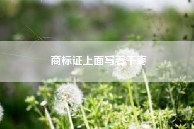 商标证上面写着干枣
