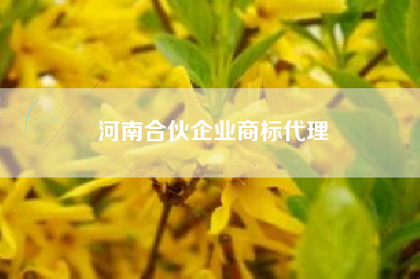 河南合伙企业商标代理