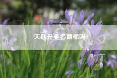 天池是驰名商标吗