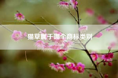 猫草属于哪个商标类别