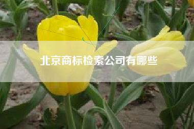 北京商标检索公司有哪些