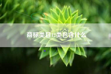 商标类目12类包含什么