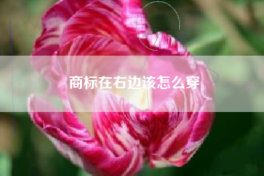 商标在右边该怎么穿