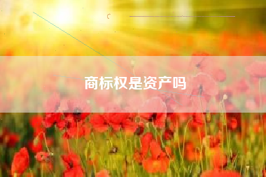 商标权是资产吗