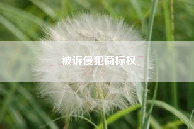 被诉侵犯商标权