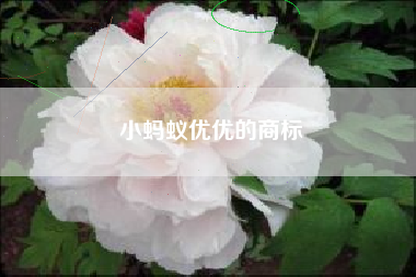 小蚂蚁优优的商标