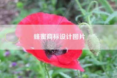 蜂蜜商标设计图片