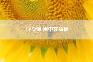 速卖通 用中文商标