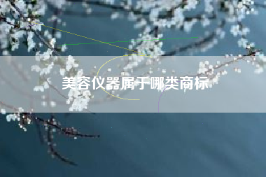 美容仪器属于哪类商标