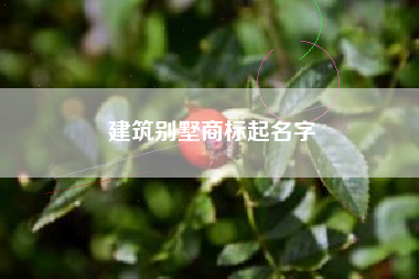 建筑别墅商标起名字