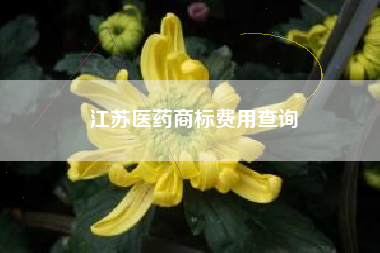江苏医药商标费用查询