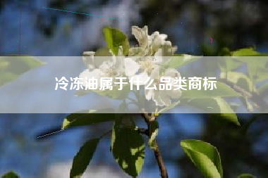 冷冻油属于什么品类商标