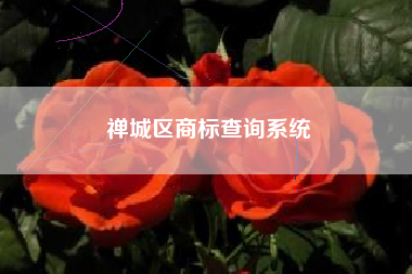 禅城区商标查询系统