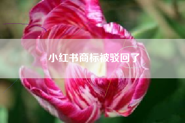 小红书商标被驳回了