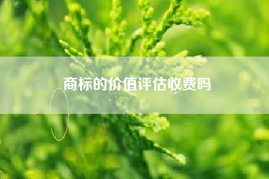 商标的价值评估收费吗