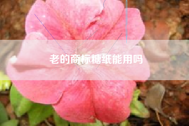 老的商标糖纸能用吗