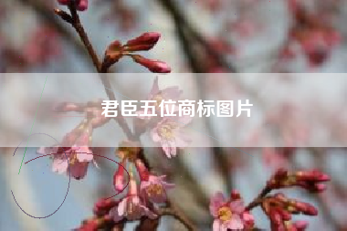 君臣五位商标图片