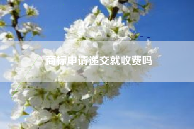 商标申请递交就收费吗