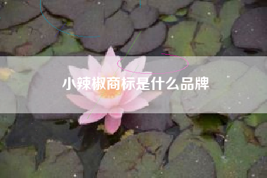 小辣椒商标是什么品牌