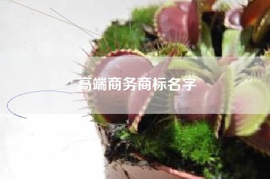 高端商务商标名字