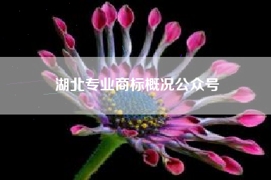 湖北专业商标概况公众号