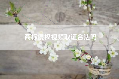 商标侵权视频取证合法吗