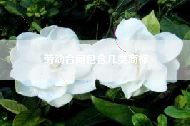 劳动合同包含几类商标