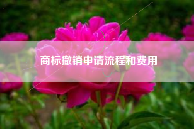 商标撤销申请流程和费用
