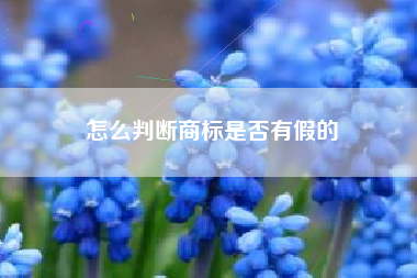 怎么判断商标是否有假的