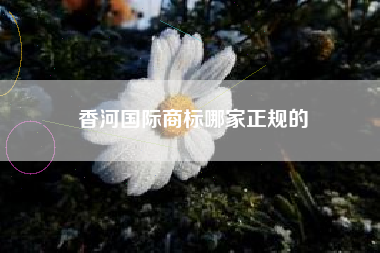 香河国际商标哪家正规的
