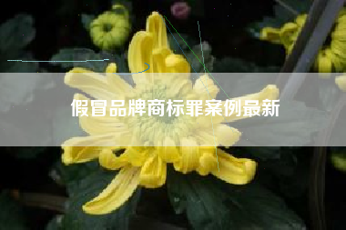 假冒品牌商标罪案例最新