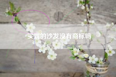 买到的沙发没有商标吗