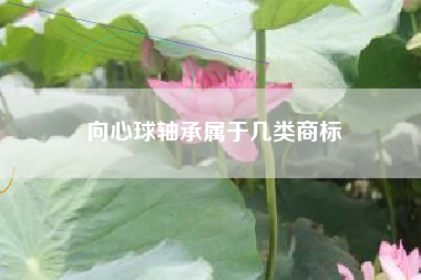 向心球轴承属于几类商标
