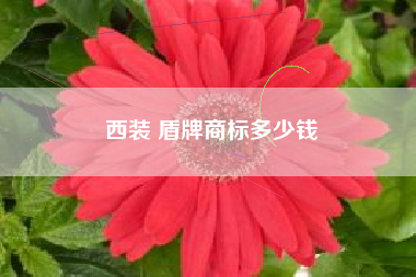 西装 盾牌商标多少钱