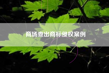 商场查出商标侵权案例