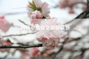 抖音小店提交商标证书