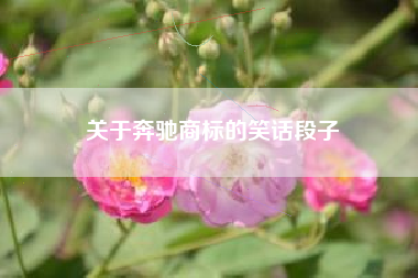 关于奔驰商标的笑话段子