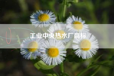 工业中央热水厂商标