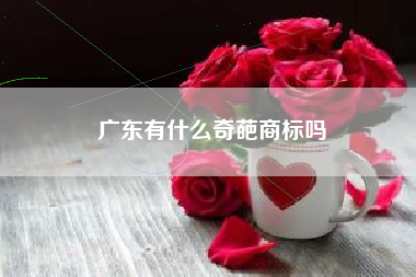 广东有什么奇葩商标吗