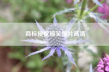 商标侵权搞笑图片高清