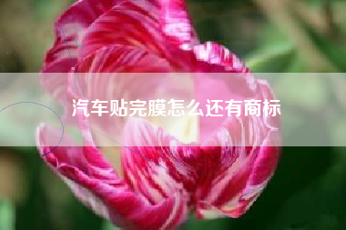 汽车贴完膜怎么还有商标