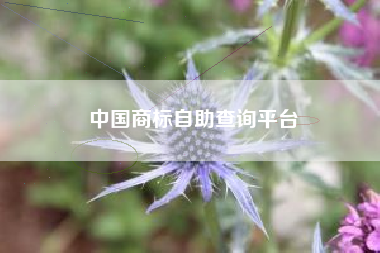 中国商标自助查询平台