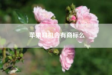 苹果耳机会有商标么