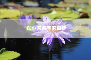 以小芳名字的商标