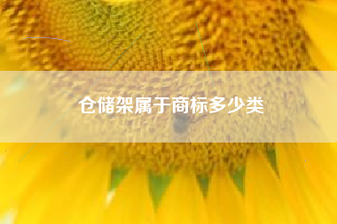 仓储架属于商标多少类