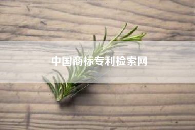 中国商标专利检索网