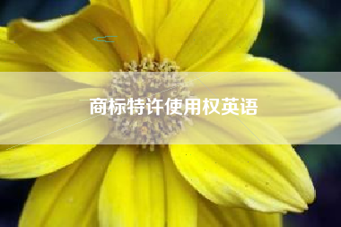 商标特许使用权英语