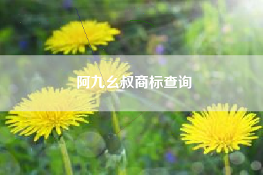阿九幺叔商标查询