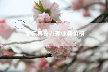 商标异议办理业务价格